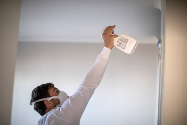 Best Residential Mold Remediation in St Charles, MI