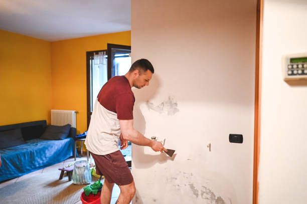Best Residential Mold Remediation in St Charles, MI
